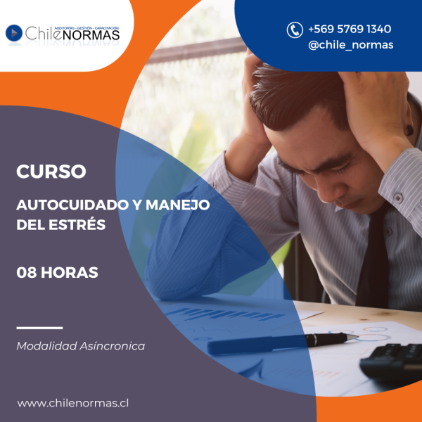 Curso Autocuidado Y Manejo Del Estrés Chilenormas 4556